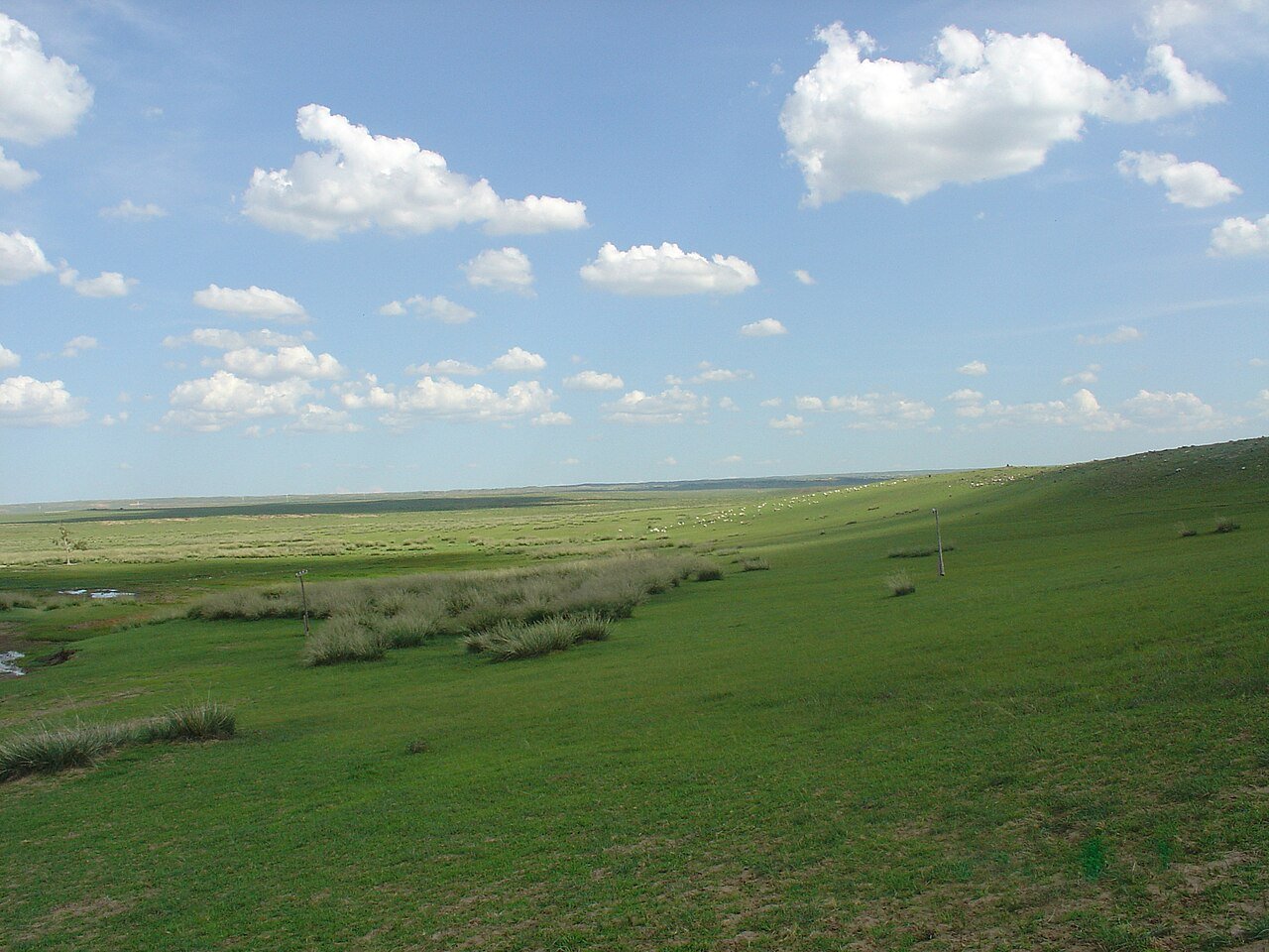 Grassland under wide skies on the Bashang plateau