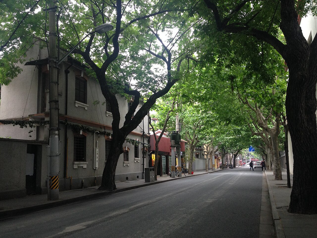 武康路梧桐与老洋房